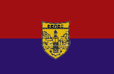 знаме на Општина Велес
